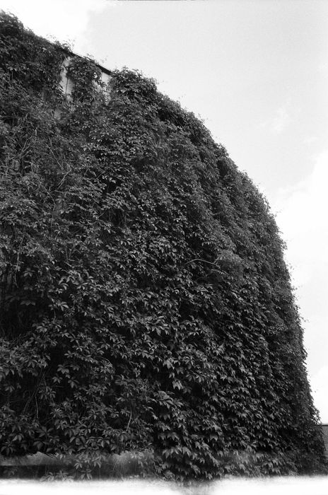 Canon A35F повністю робоча плівкова камера в чудовому стані