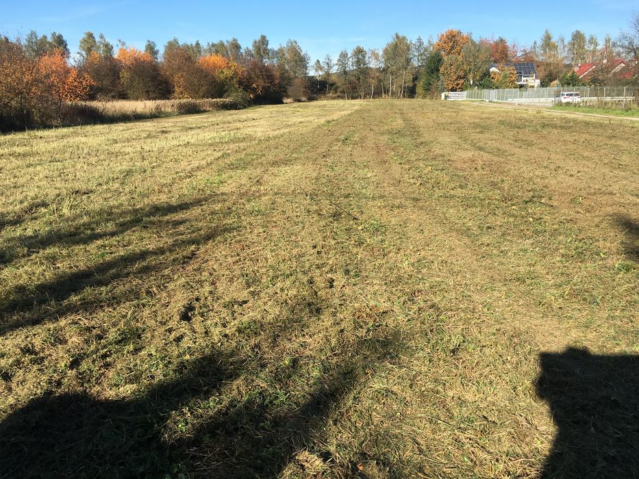 Koszenie molulczerem, mulczowanie traw, łąk, nieużytków,rowów,skarp