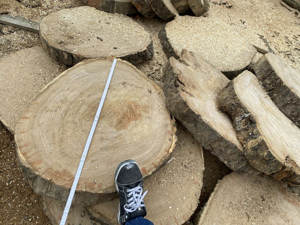 Plastry debowe Topola duze 80-100 cm srednicy grube Krążki