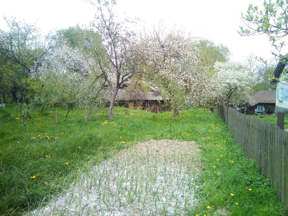 Продам ділянку в с.Боднарів Івано Франківська область калуський район