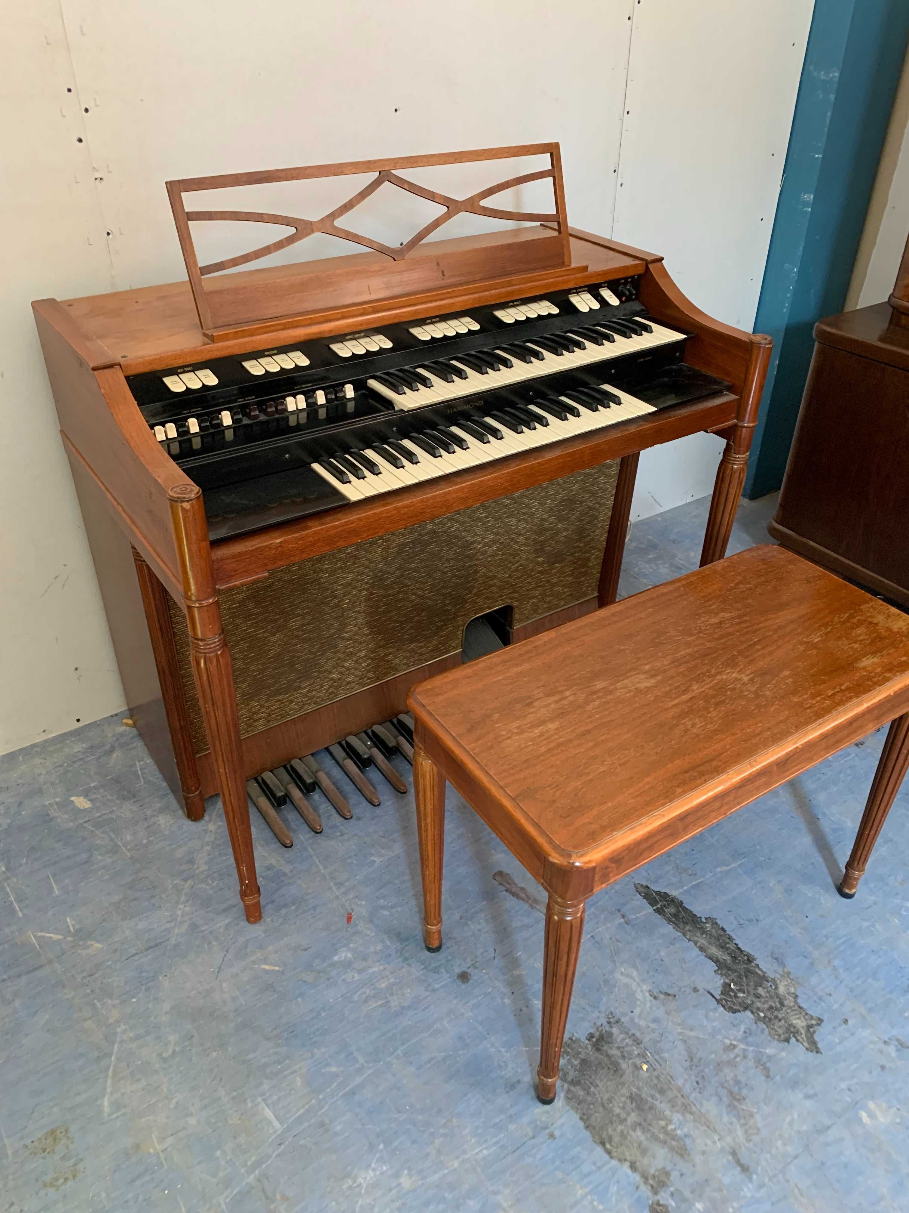 Organy HAMMOND M-111