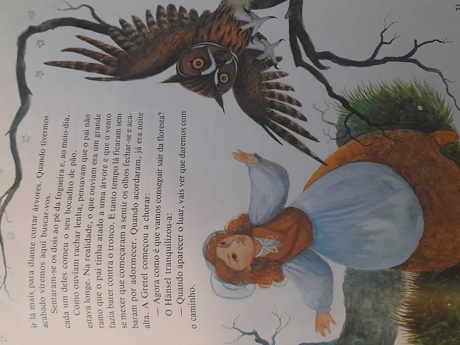 Livro Os Mais Belos Contos de Grimm