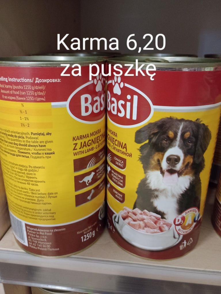 Karma dla psów i kotów