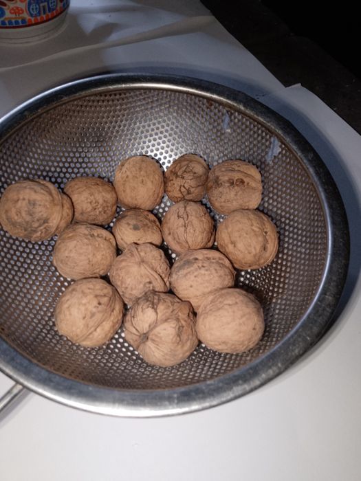 Грецький горіх світлий