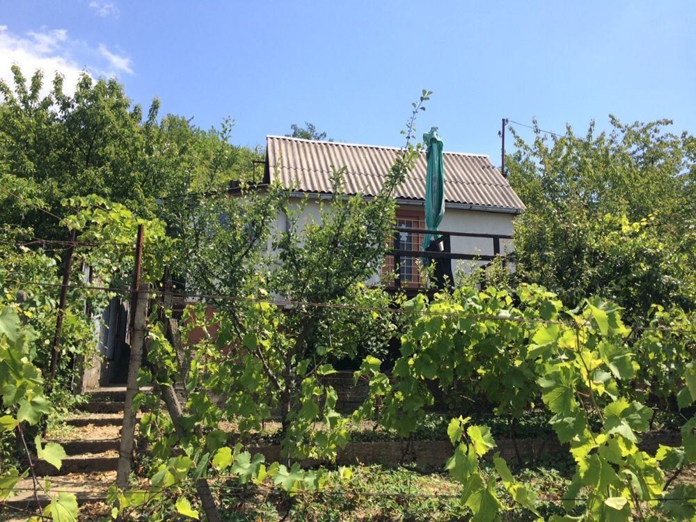 Продам дачу в Виноградові