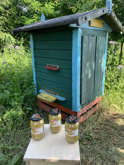 Pylek pszczeli z wlasnej pasieki