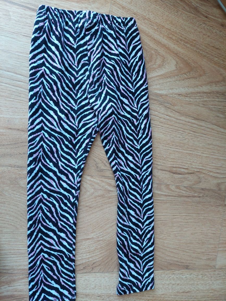 Leginsy haydi zebra r. 98