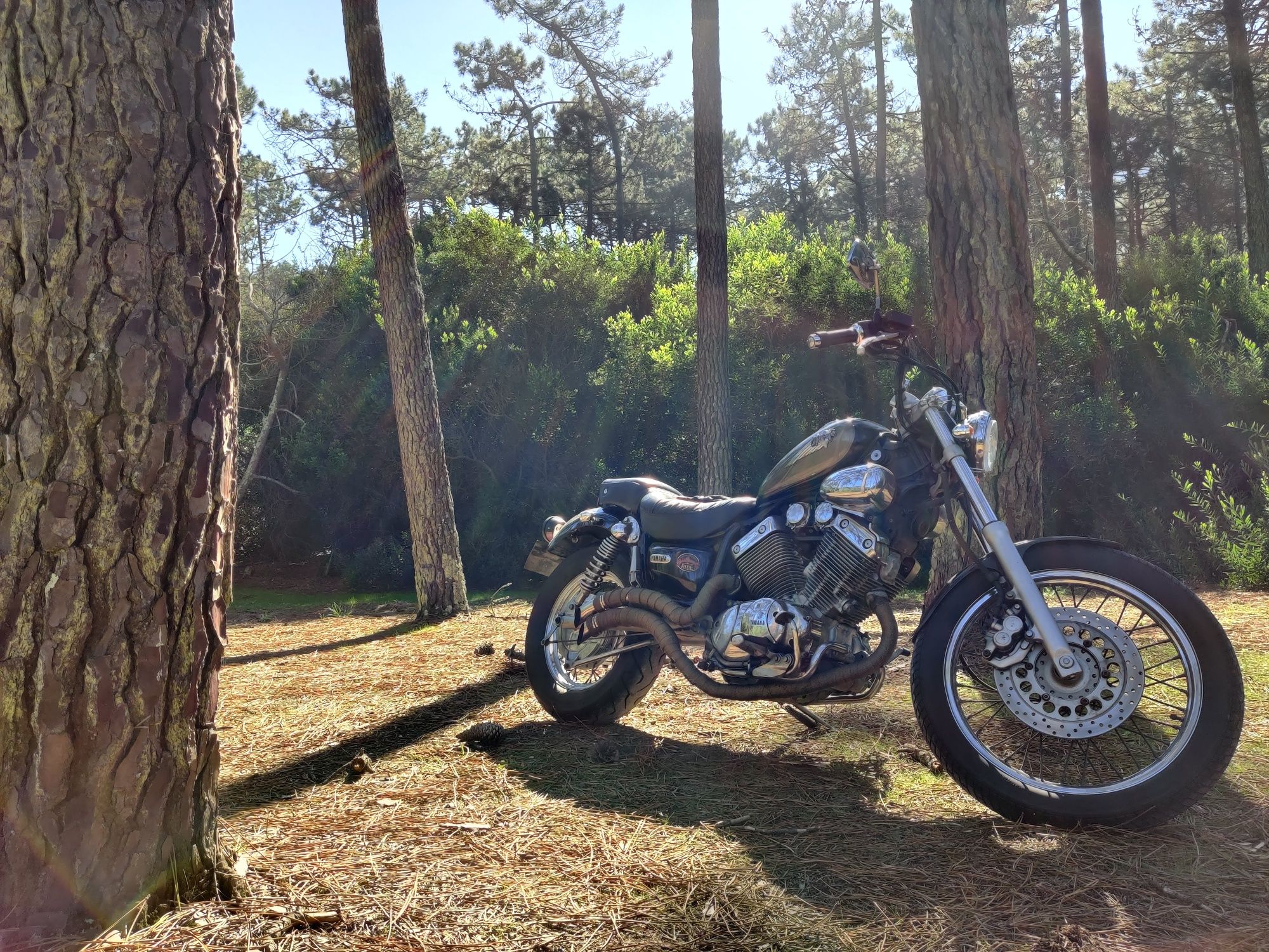 Virago xv535 do ano 2001