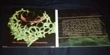 CD industrial experimental noise dark ambient Inade TEATRO SATANICO