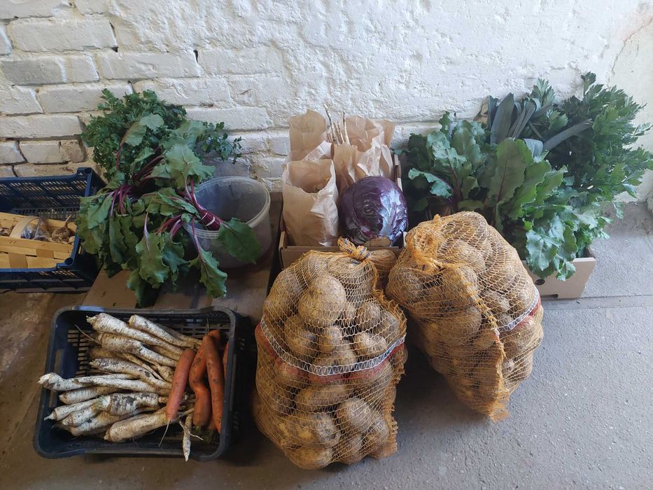 Box warzyw od rolnika