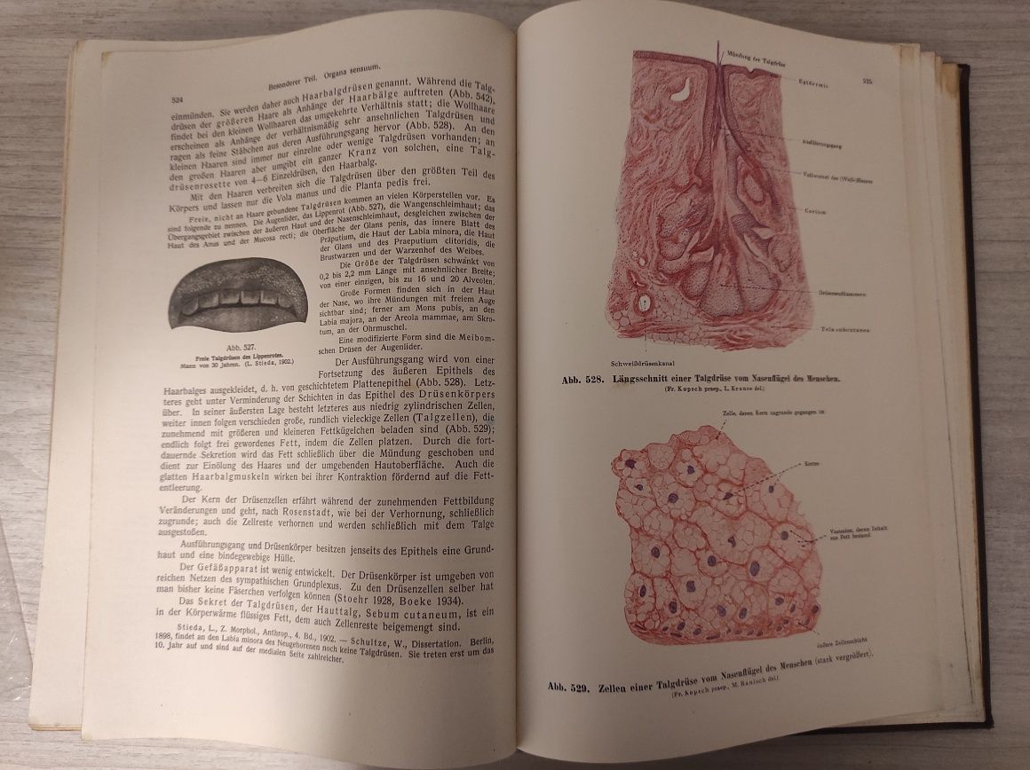 Lehrbuch und Atlas der Anatomie des Medschen von Dr. Fr.Kopsch, Band 3