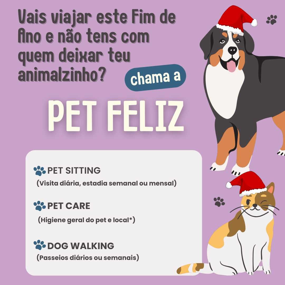 Babá de PET para o Fim de Ano