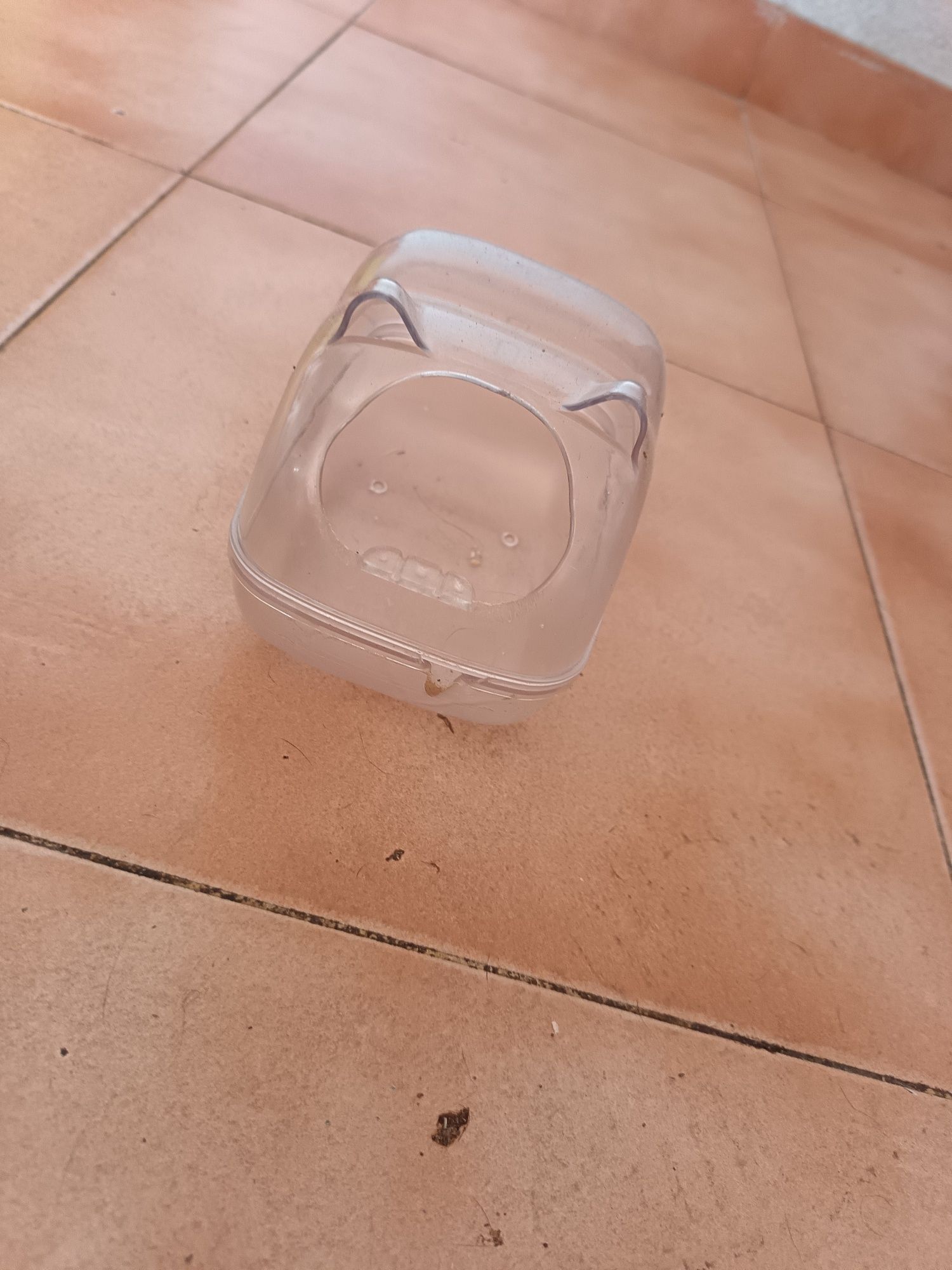 Banheirinho para hamster