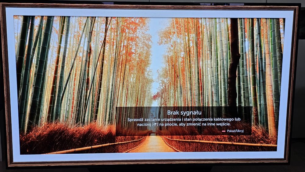 LG Oled 55B9SLA #Polecam