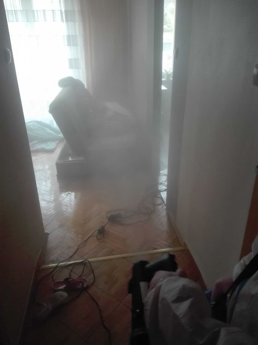 Zwalczanie szkodników drewna kołatek spuszczel korniki pluskwa domowa