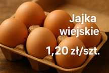 Świeże jajka wiejskie – 1,20 zł/szt. – Żarnowa / Strzyżów.