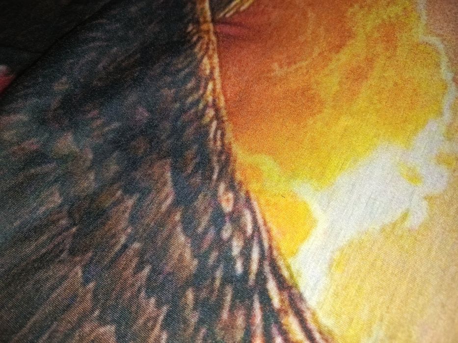 Hoodie boxy oversize eagle sunset patchwork