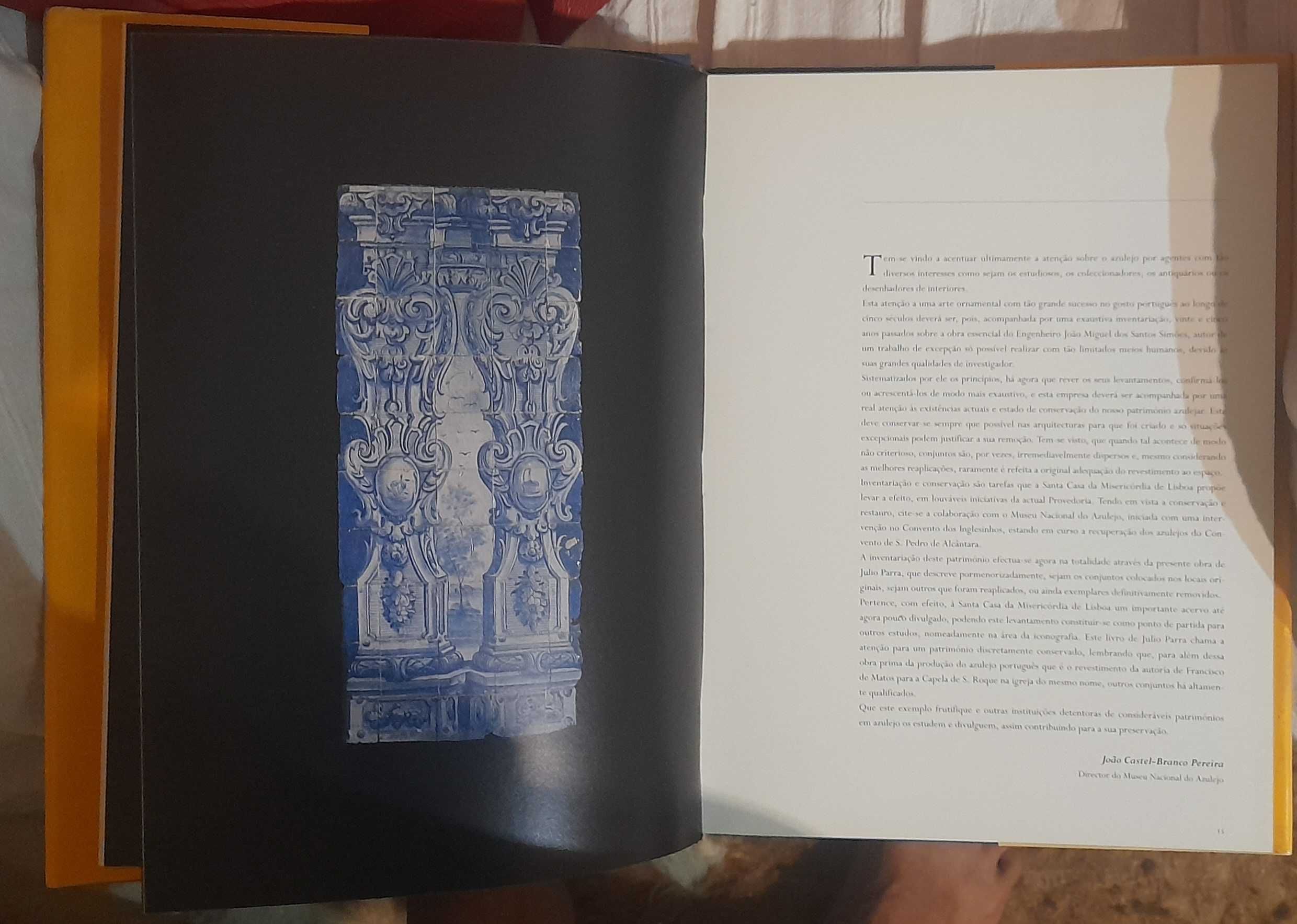 AZULEJOS  Painéis do século XVI ao século XX