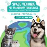 Transporte de animais / Pet transportation