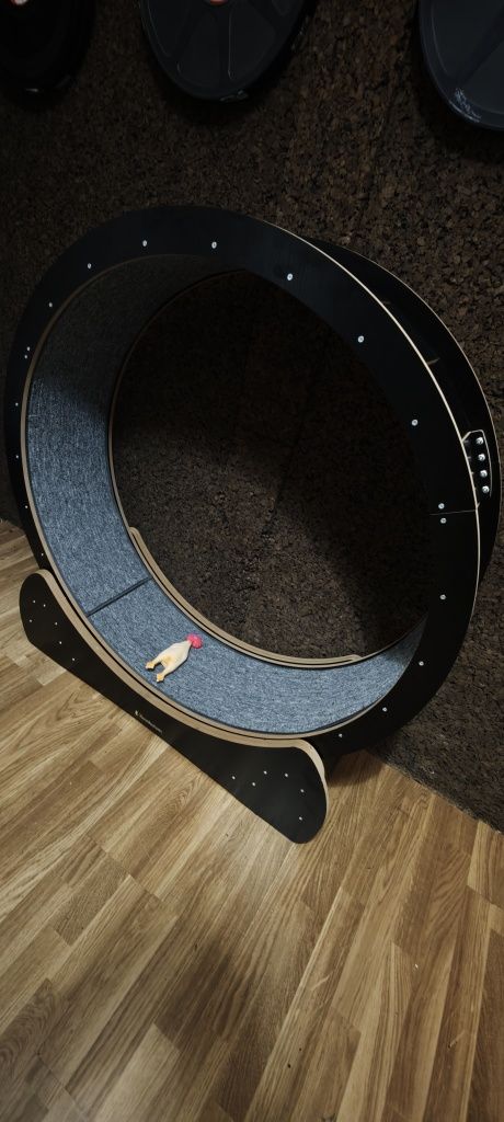 Roda para gato nova