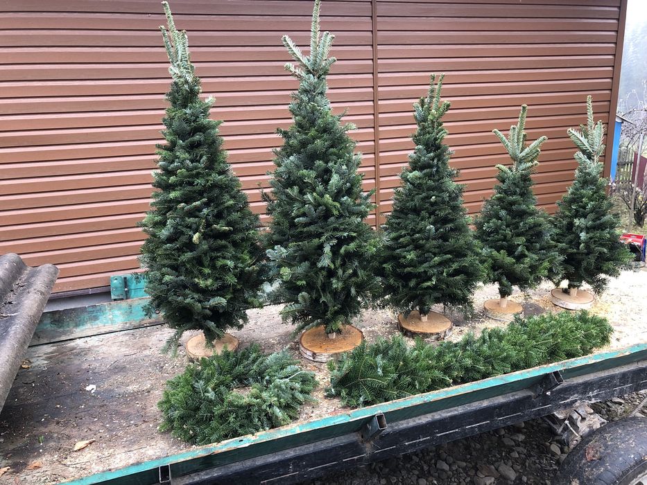 Плетені Ялинки,віночки,гірлянди