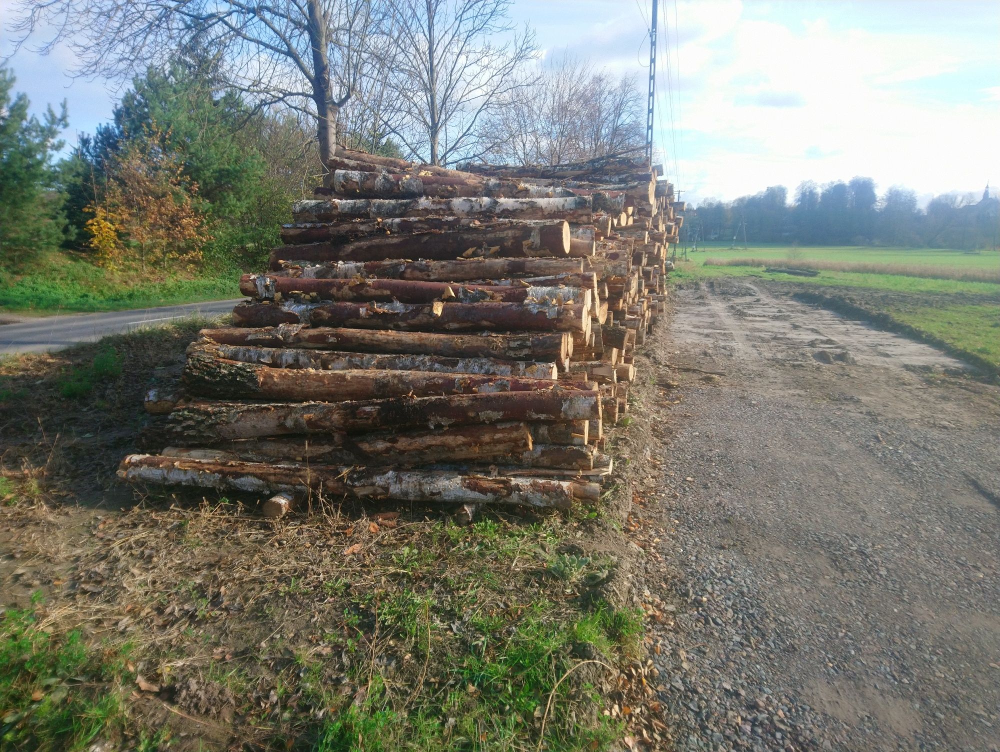 Drewno Brzoza Dąb S2a, kłoda o dł 2,5m - kominkowe, opał, wałki, metry