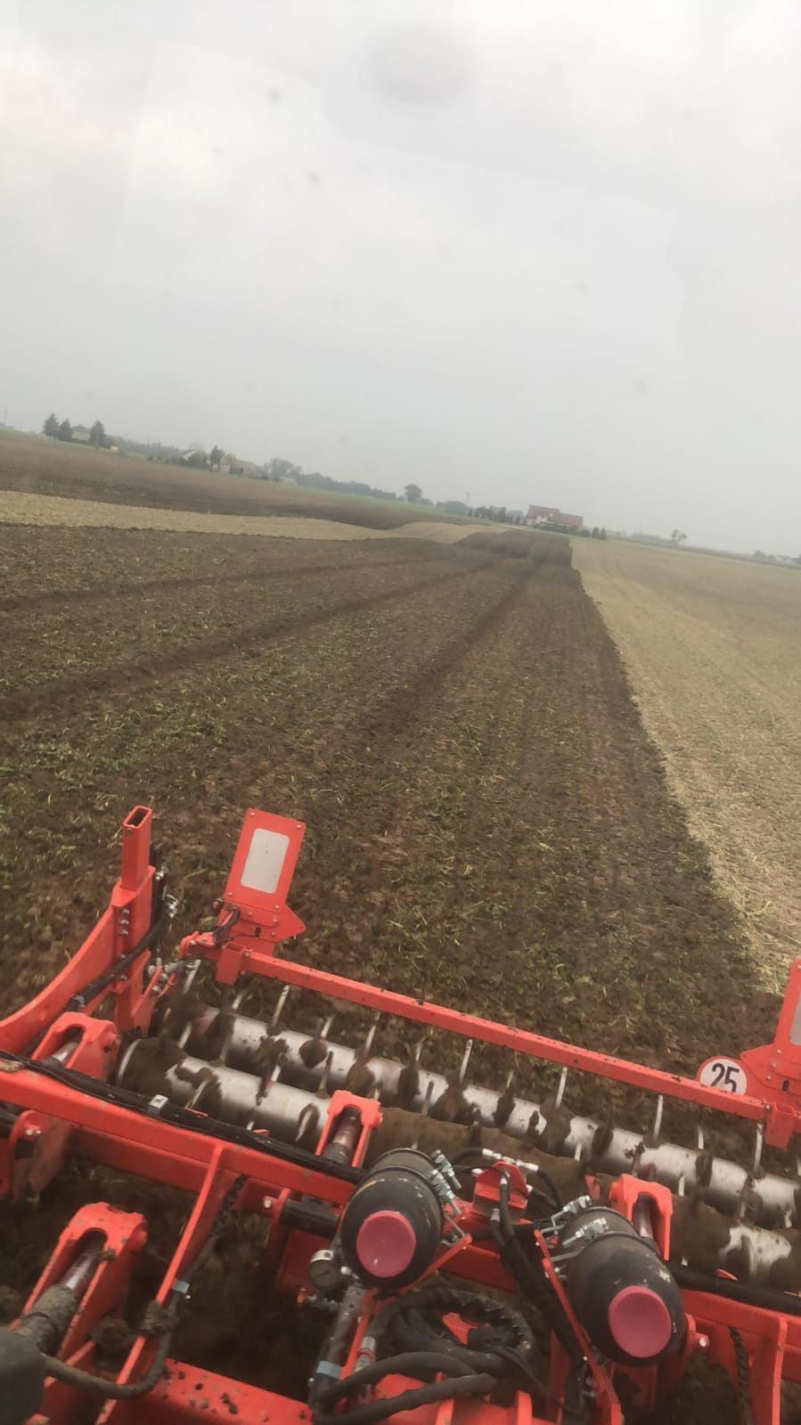 Zbiór koszenie zbóż rzepaku kuku Punktowy siew rzepaku uprawy pożniwne