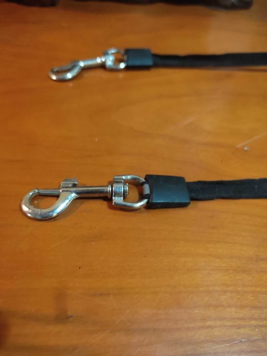 Trela de esticar para cães