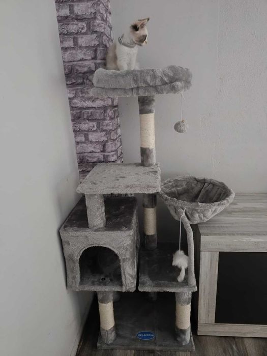 Drapak dla kota z zabawką, wieża dla kotów , domek dla kota, NOWY