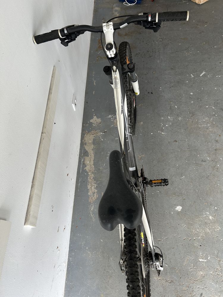 Bicicleta Adulto