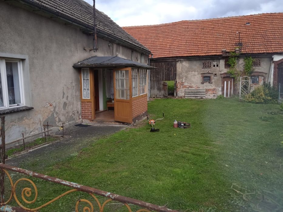 Dom w Gogołowicach w cenie mieszkania