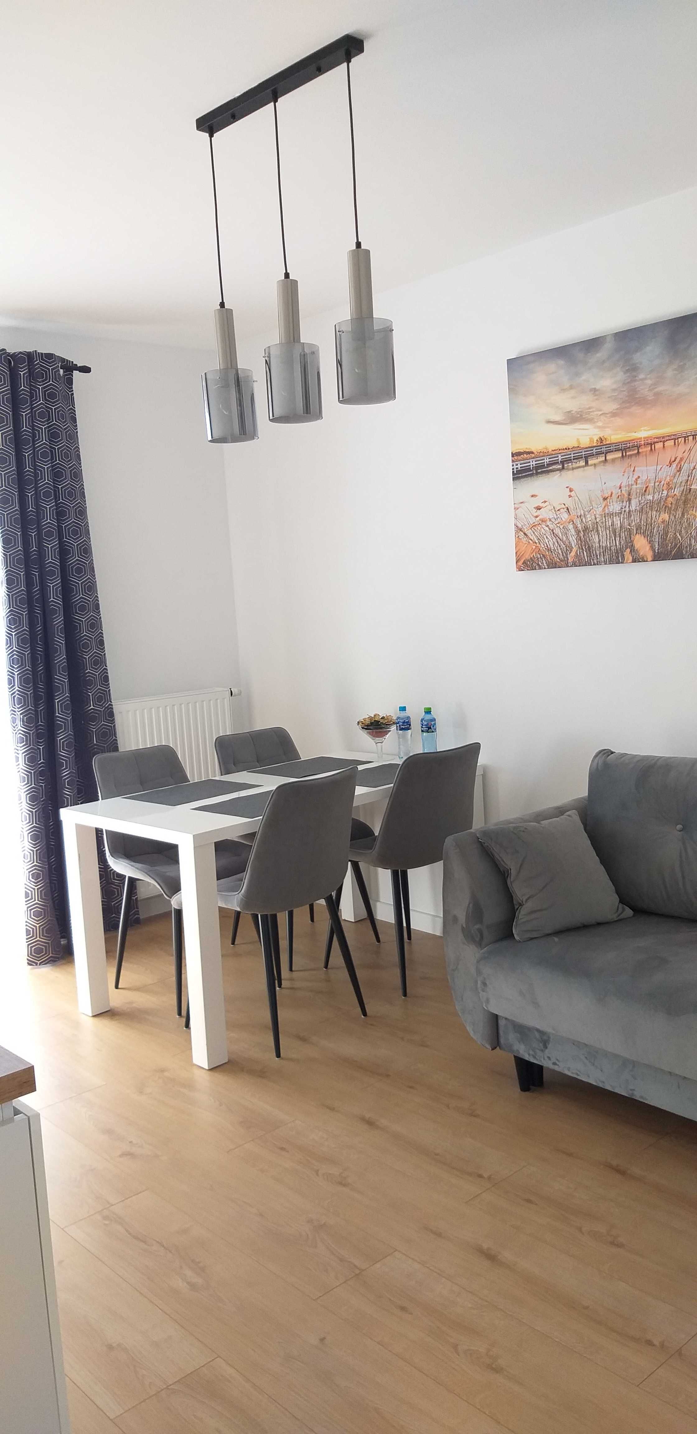 Apartament noclegi