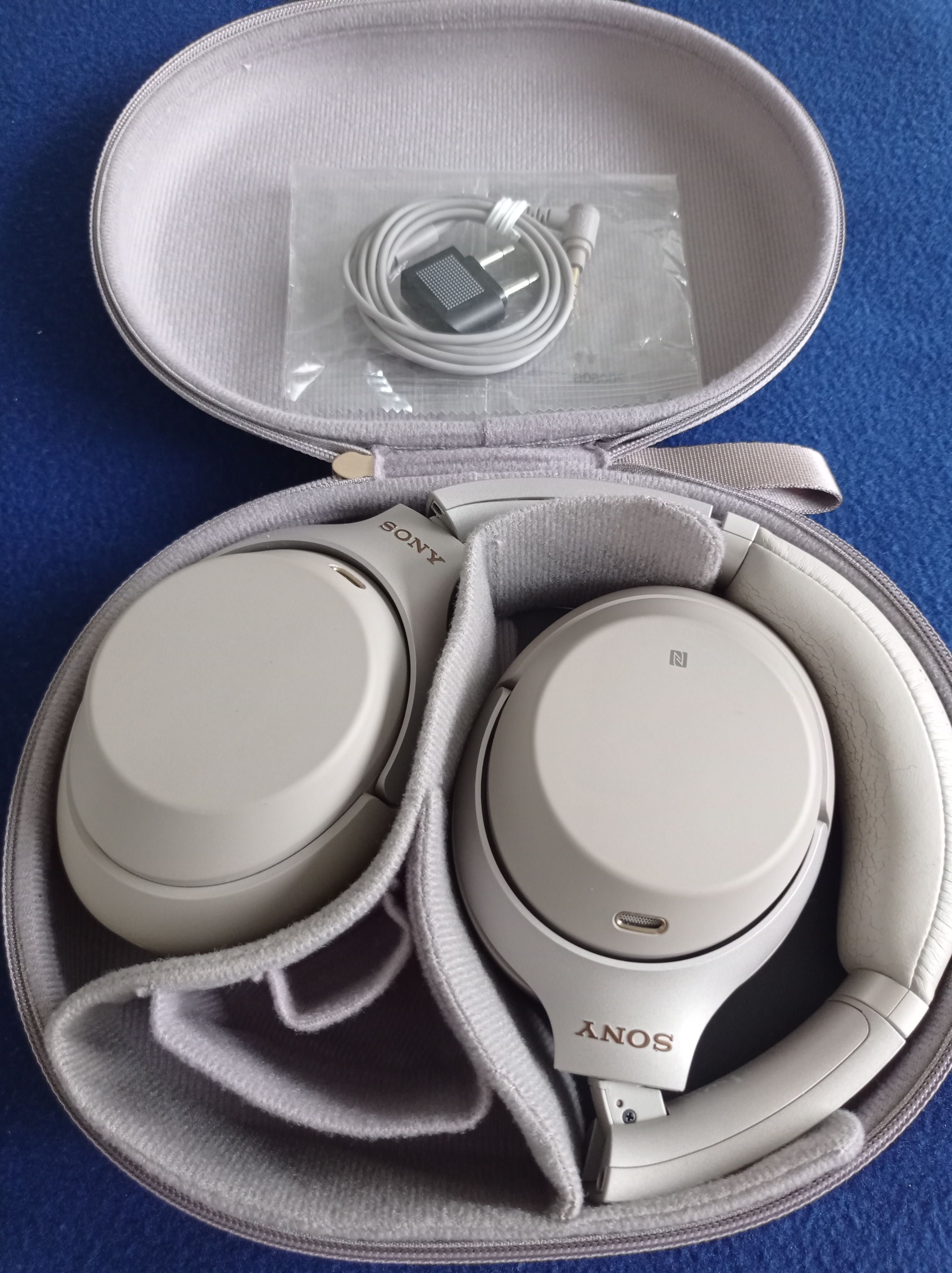 Sony WX1000 Earphones