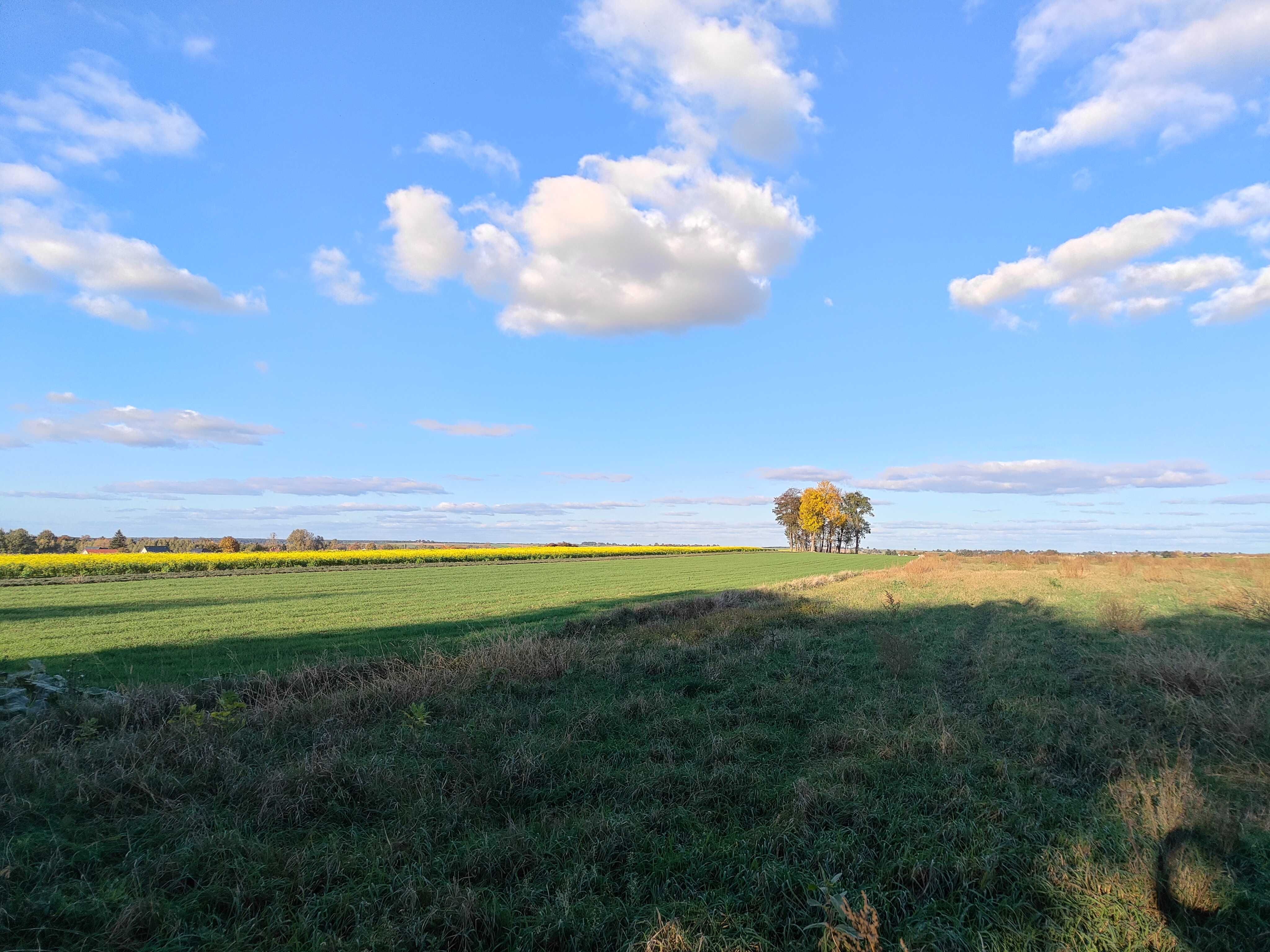 Tanie działki budowlane w Piaskach koło Lublina