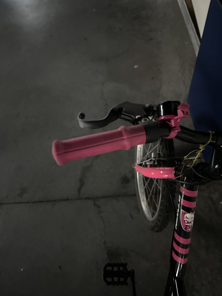 Bicicleta preta e coe de rosa
