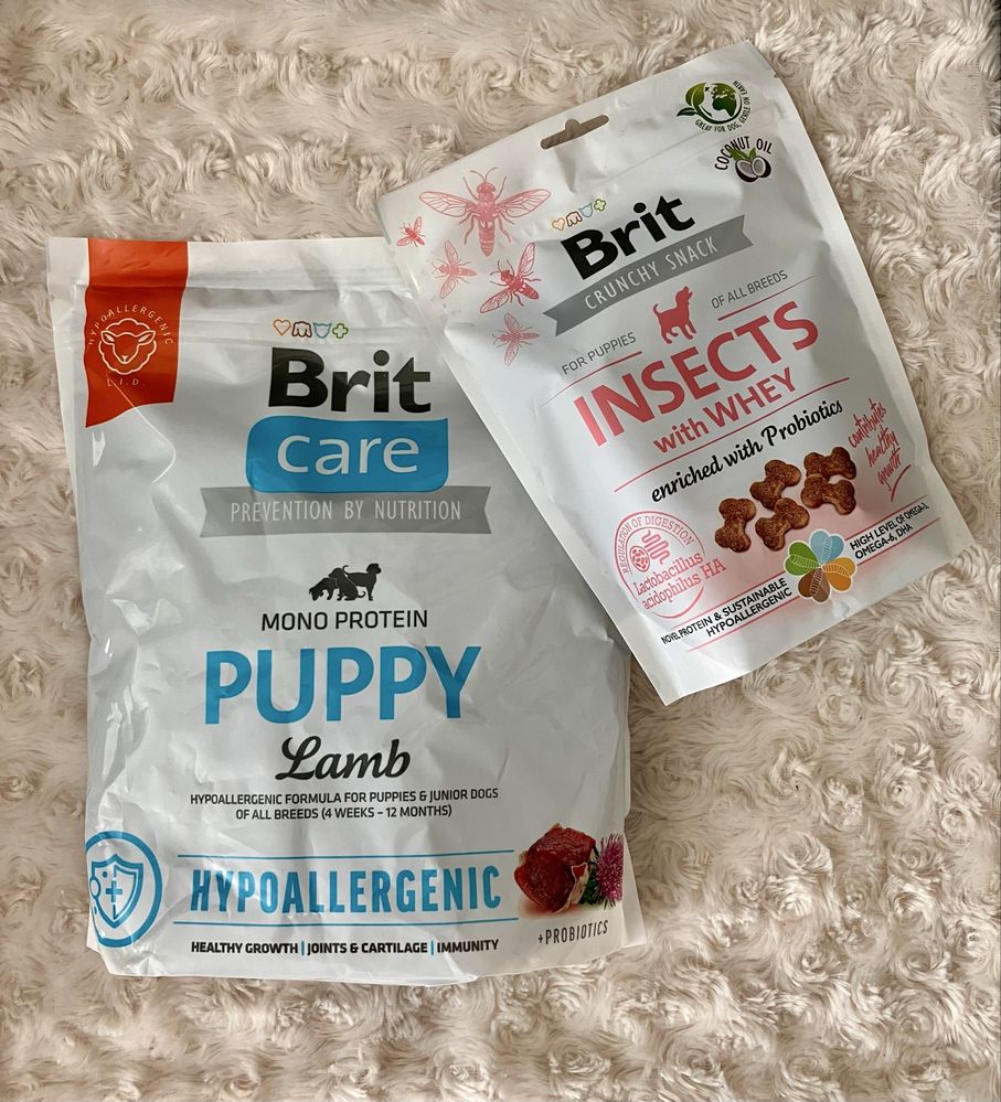 Brit zestaw. Puppy. Jagnięcina z ryżem plus przysmaki.