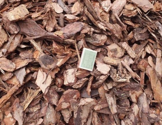 Kora sosnowa luzem kompostowana  borówka torf