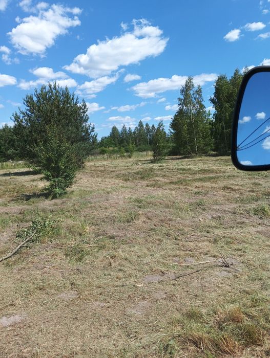 Ogrodnicze wycinka drzew samosiejow, zrębkowanie rębakiem.