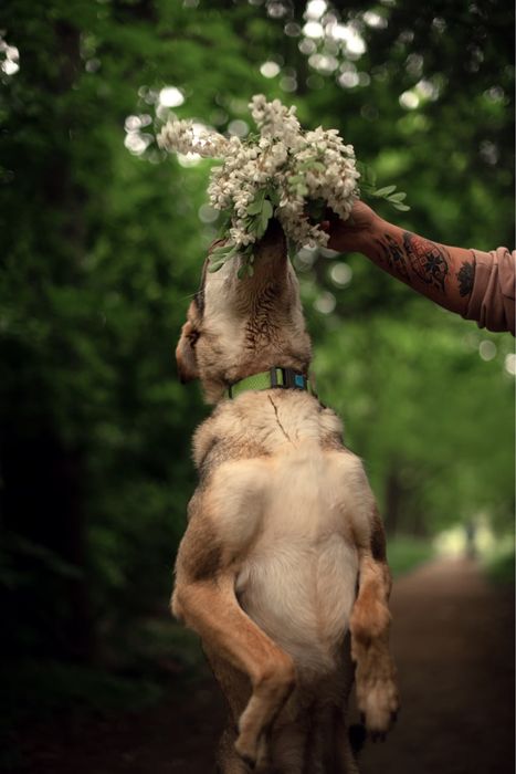 Кнопа ищет семью