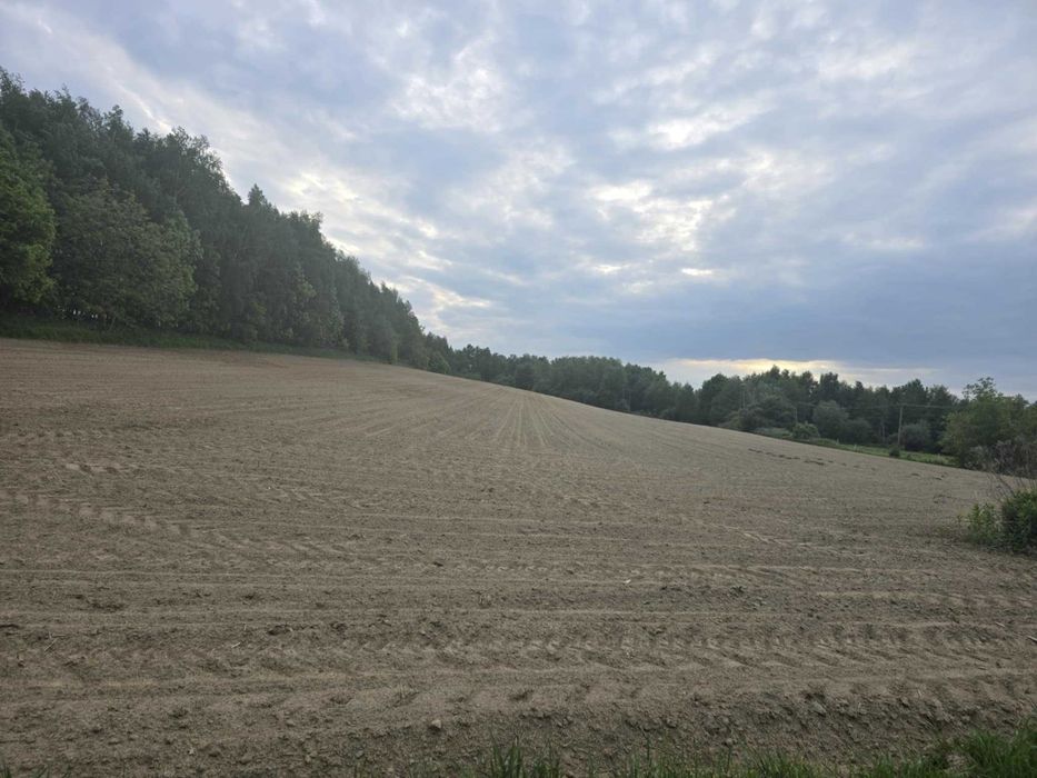 Łopoń - Sufczyn piękna działka rolna.