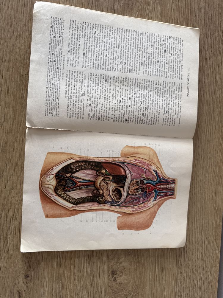 Maly atlas anatomiczny Prof. Sylwanowicz