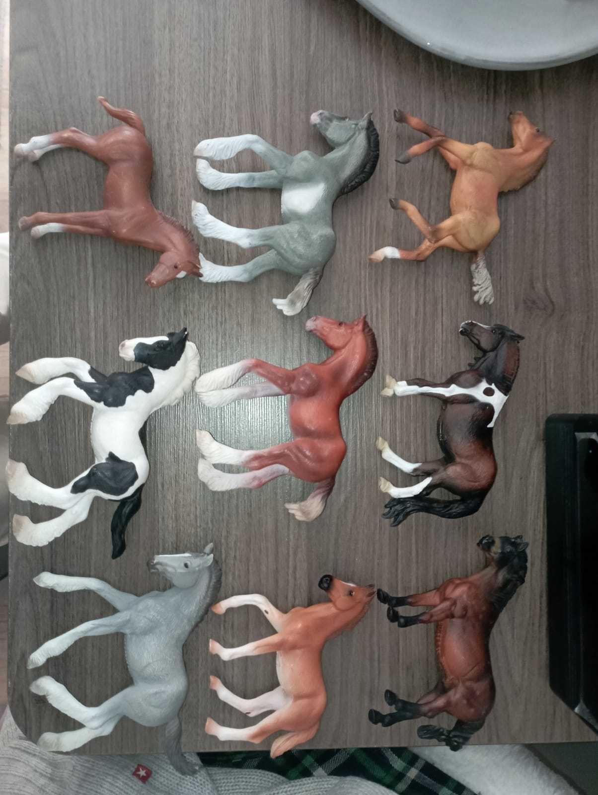 Źrebaki Schleich\coletta