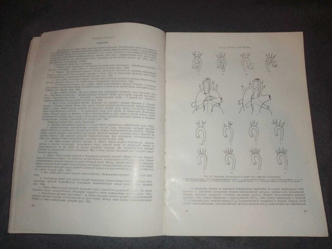 Хирургическая анатомия. Грудная клетка (Проф. Д. Надь) Книга 1963