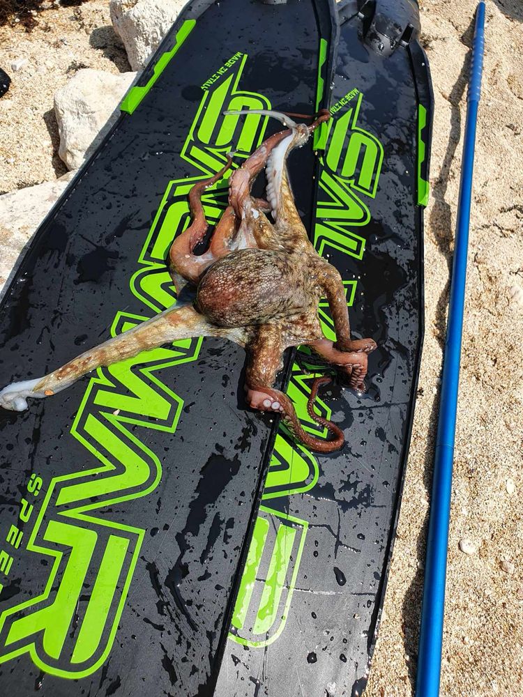 Pletwy salvimar rozmir 43 ( sperfishing freediving carbon )