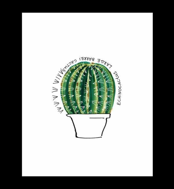 Plakat - Mały Kaktus