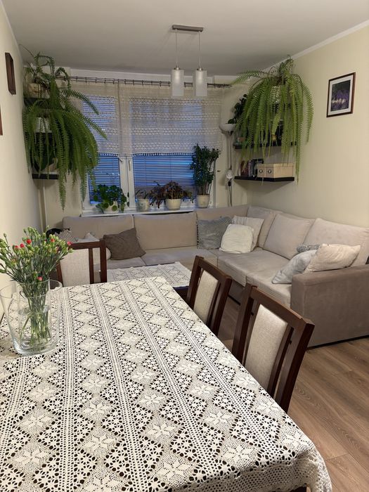 Mieszkanie dwupokojowe 45m2 przy Uniwersytecie Szczecinskim