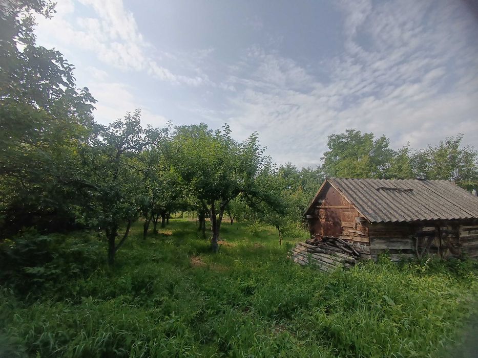 АВТЕНТИЧНИЙ компактний будинок 42 сотки землі с. Астей 7 км. Берегово!