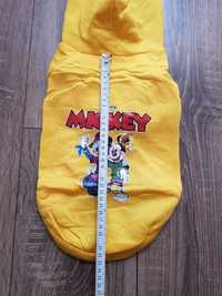 bluza z kapturem dla psa Mickey Myszka Minnie Kaczka Daisy Disney L