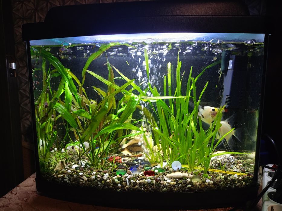 Акваріум 35л. з рибками