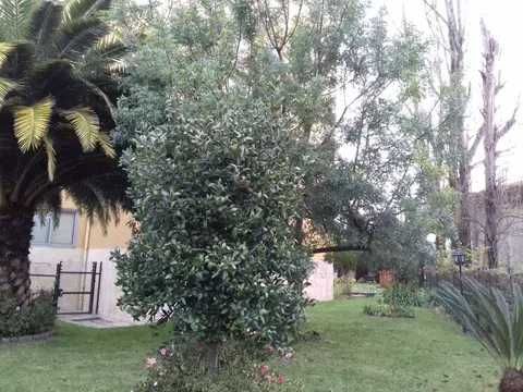 Arrendo Apartamento T1 - Gaia Shopping